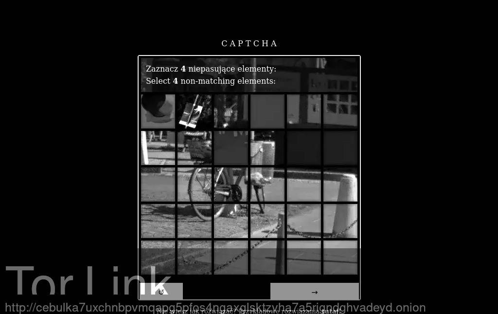 Cebulka Screenshot