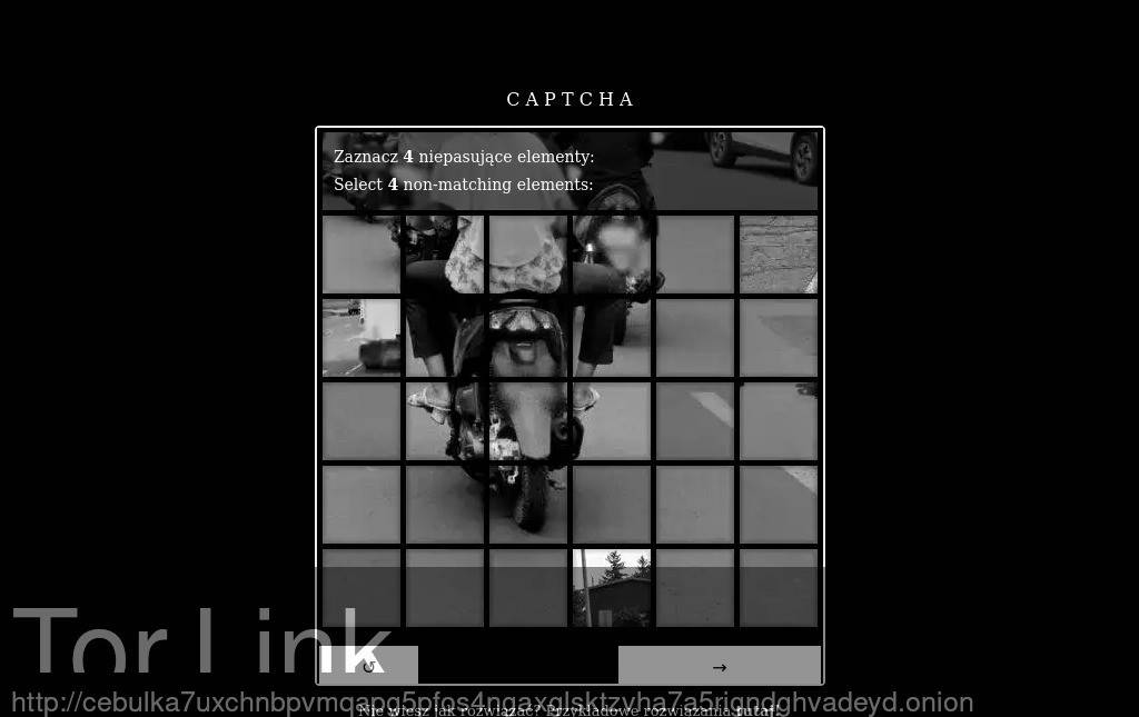 Cebulka Screenshot