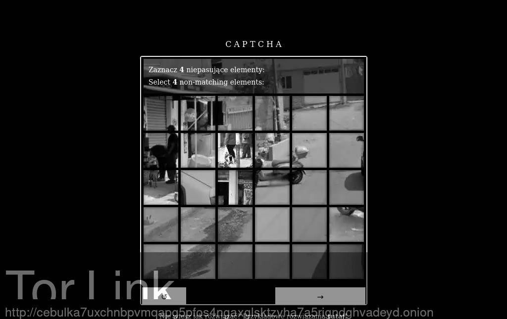 Cebulka Screenshot